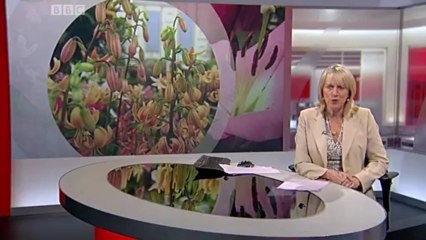 BBC South Today - 21/5/13