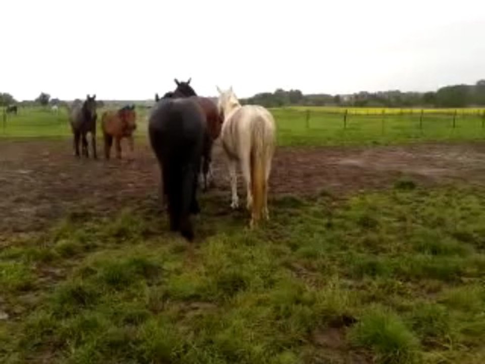 video-2013-05-24-14-45-38