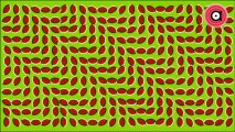 OPTICAL ILLUSIONS 4-Hallucination!!!