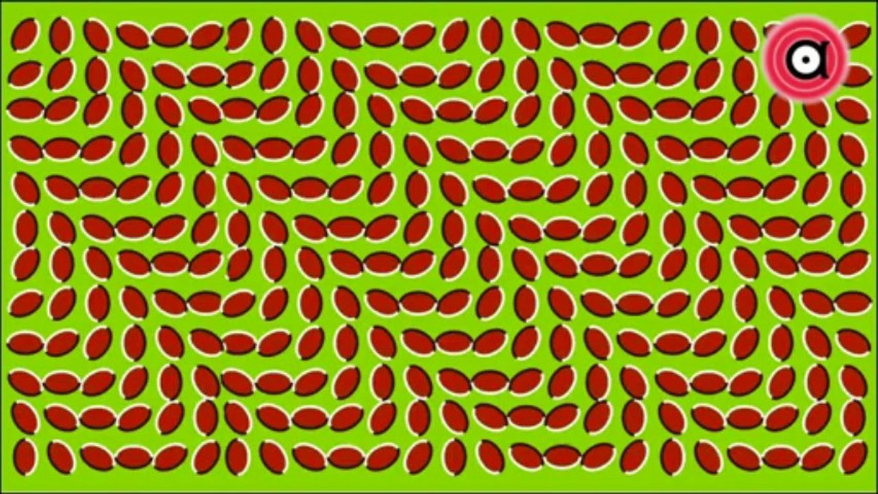 OPTICAL ILLUSIONS 4-Hallucination!!!