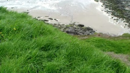 EQUIHEN PLAGE