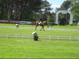 La reprise de Geoffroy Soullez CCI*** de Saumur