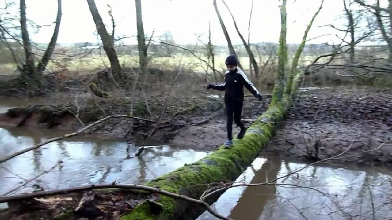 Der kleine Crossilauf