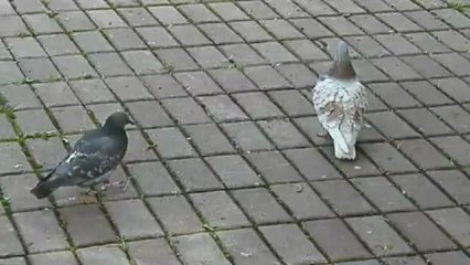 Давай поцелуемся! 💋