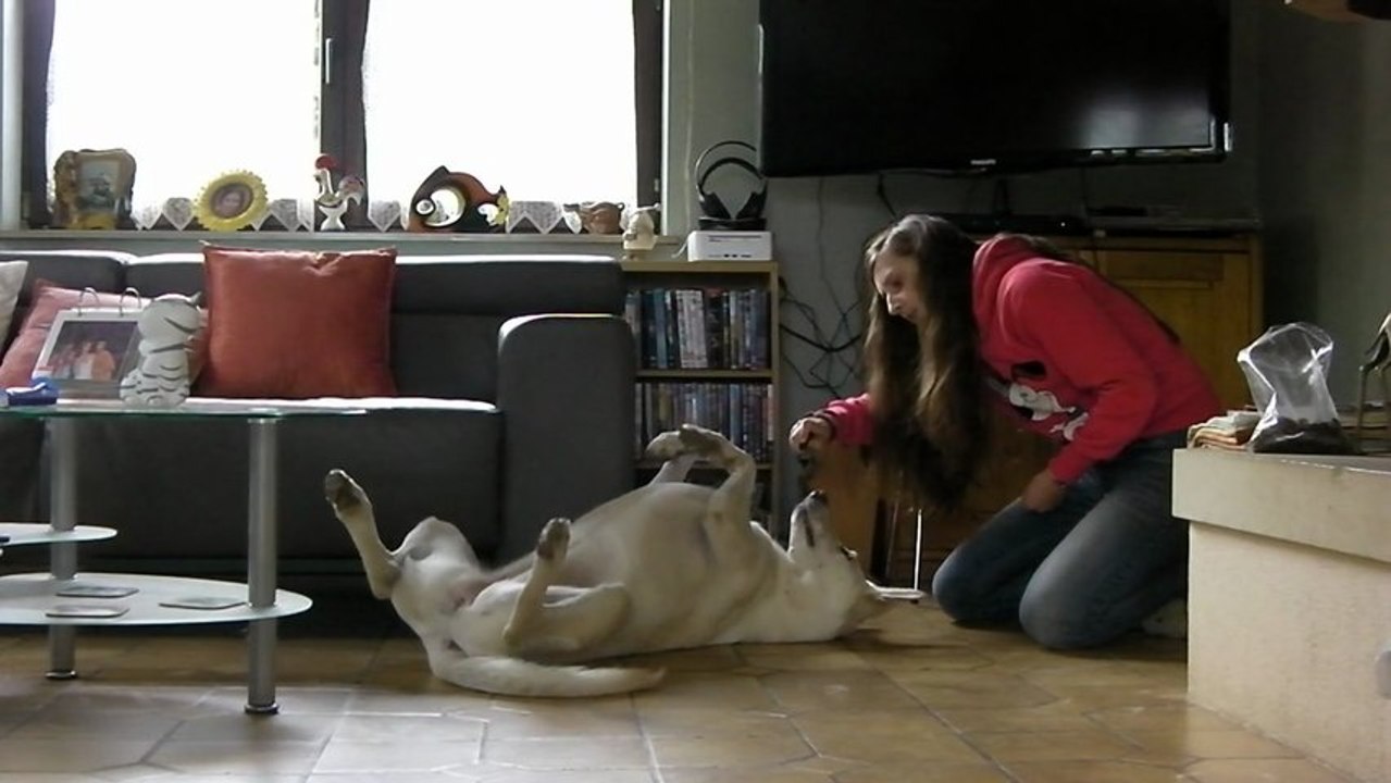 Entrainement "sur le dos"