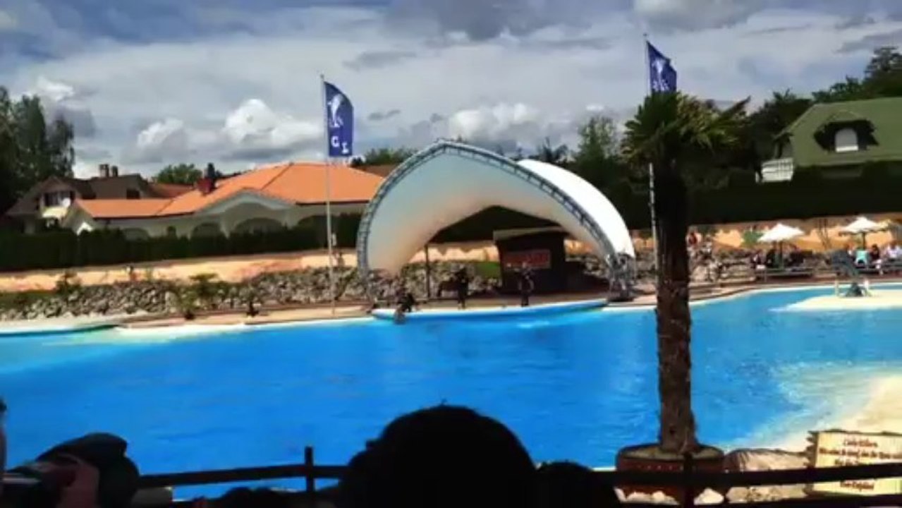 Abschied von den Connyland-Delfinen