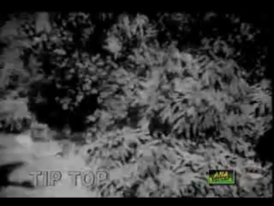 TERE JAHEY PUT JAMMAN MANWAN    (  NOOR JEHAN  )    By  Aslam Nasir