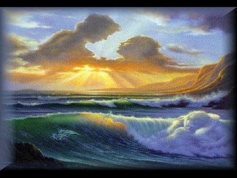 UNA FURTIVA LAGRIMA /// Tradd