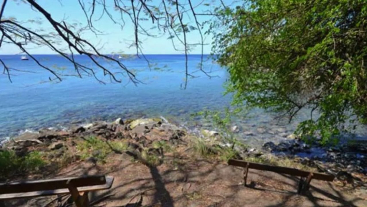 Zamana F3location Fort de France