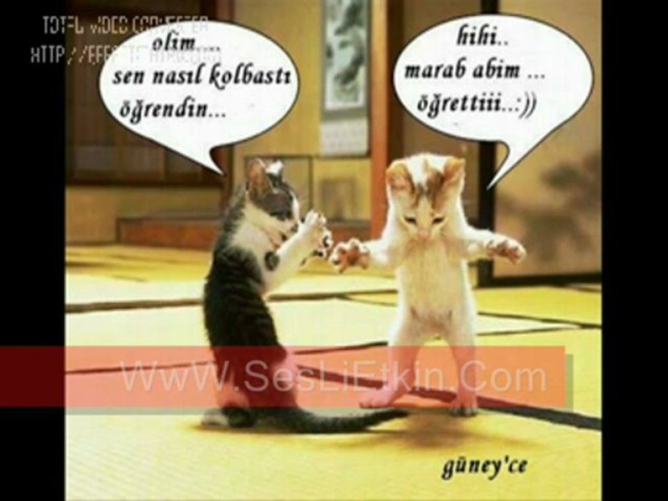 kolbastı  Karadeniz  SesLietkin.Com SesLiEtkin.net SesLiEtkin SesLi Etkin