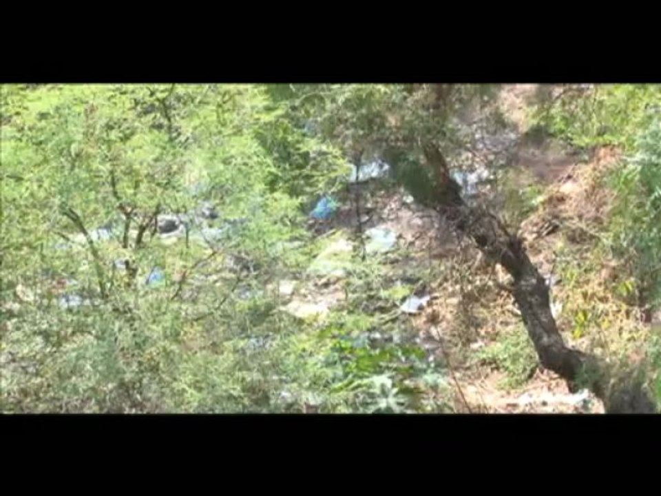 basura sur