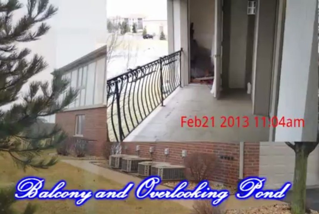 Resurecting Real Estate - 6247 Misty Pine Dr. #3 Tinley Park, IL 60477