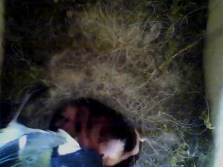 NICHOIR MESANGE 25/05/2013 08h08 :: organisation bien rodée