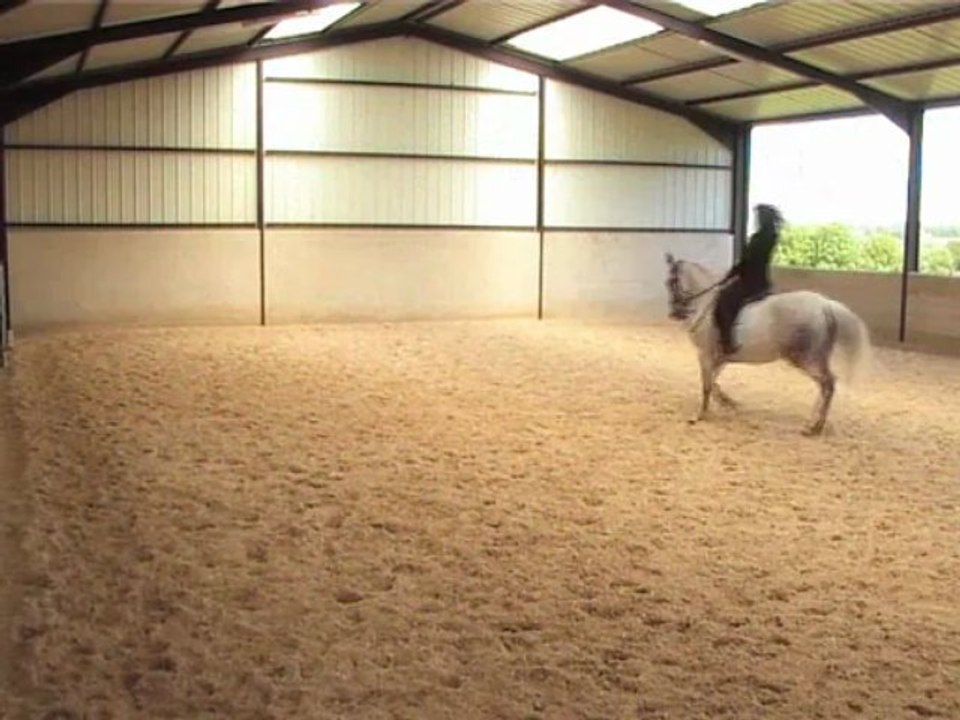 23.05.13 changements de pieds et piaffer