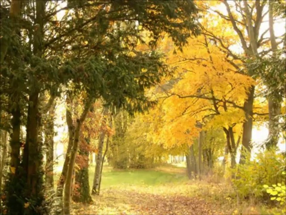 Chambres d'hôtes Gay friendly Franche comté Haute Saône P