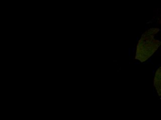 Chup kay say aye (short cover)