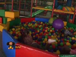 Анонс програми Baby Expert