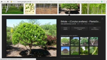 Livro Anjos e Demônios - Dan Brown #2