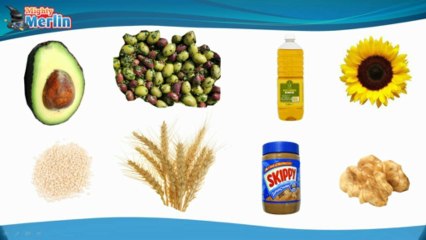 Understanding Unsaturated & Polyunsaturated Fats: Benefits & Differences 🥑