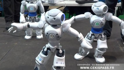 Festival 2013 de la Robotique et du Kart électrique à Vierzon