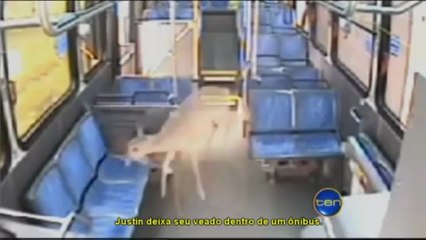 "Lado negro de Justin Bieber" no David Letterman Show