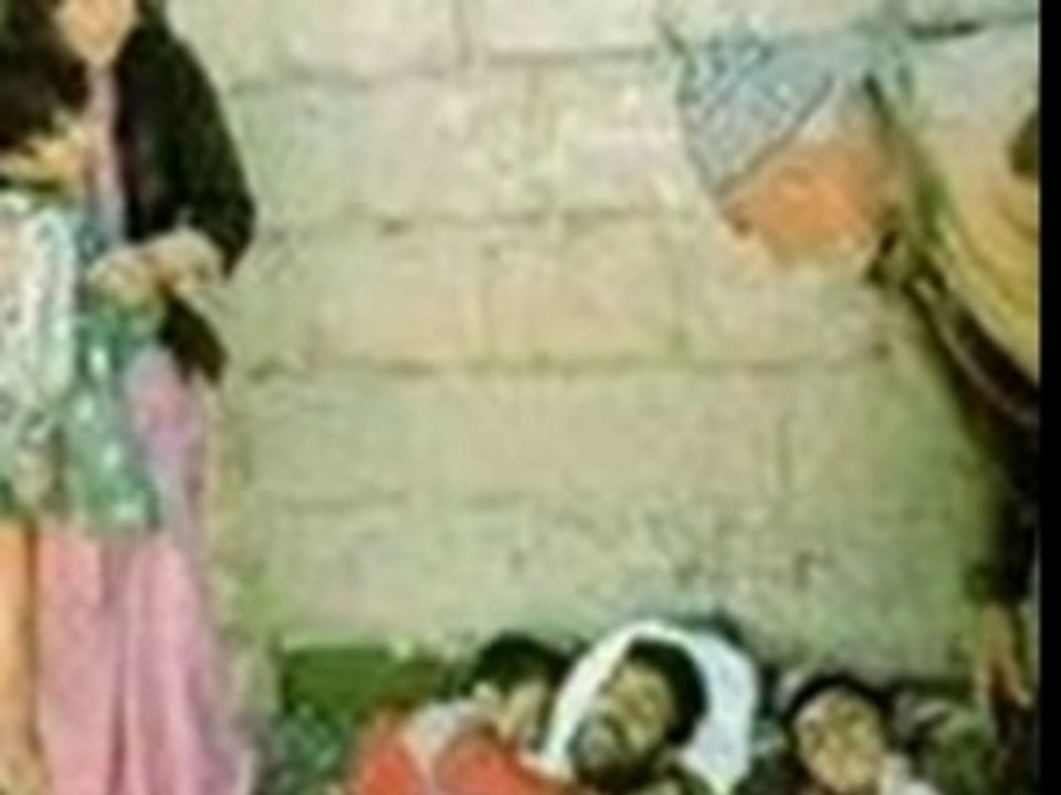 HALAPJA__VIDEO - FILM