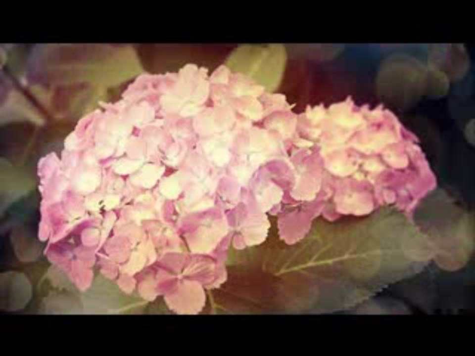 20130525Mornig-musume