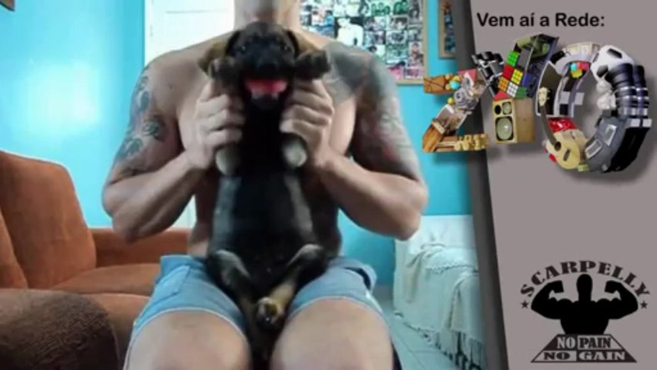 SCARPELLY   MUAY THAI PRA CACHORRO