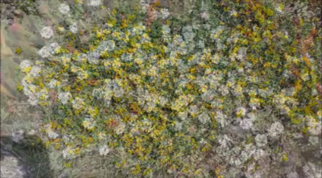 11 La baie de São Martinho do Porto, Les Falaises de Péniche