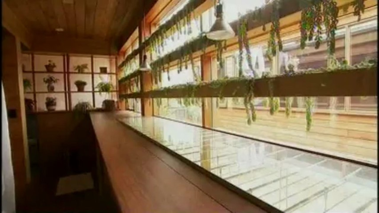 Лучшие экологические дома мира. 26из39. Канада, Торонто. США, штат Нью-Йорк.