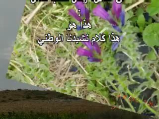 يوم الأرض _زهر اللوز محمود درويش