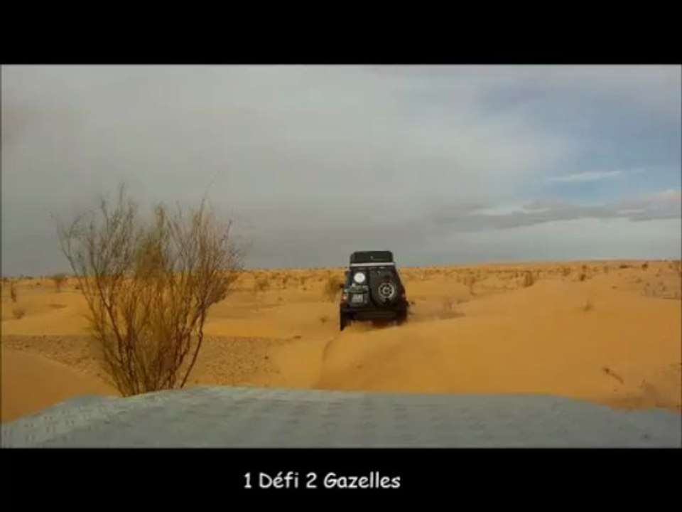 futuregazelles3