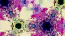 Video Backgrounds - Animated Backgrounds - Video Loops - Trippy 01