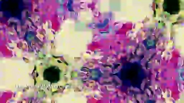 Video Backgrounds - Animated Backgrounds - Video Loops - Trippy 01