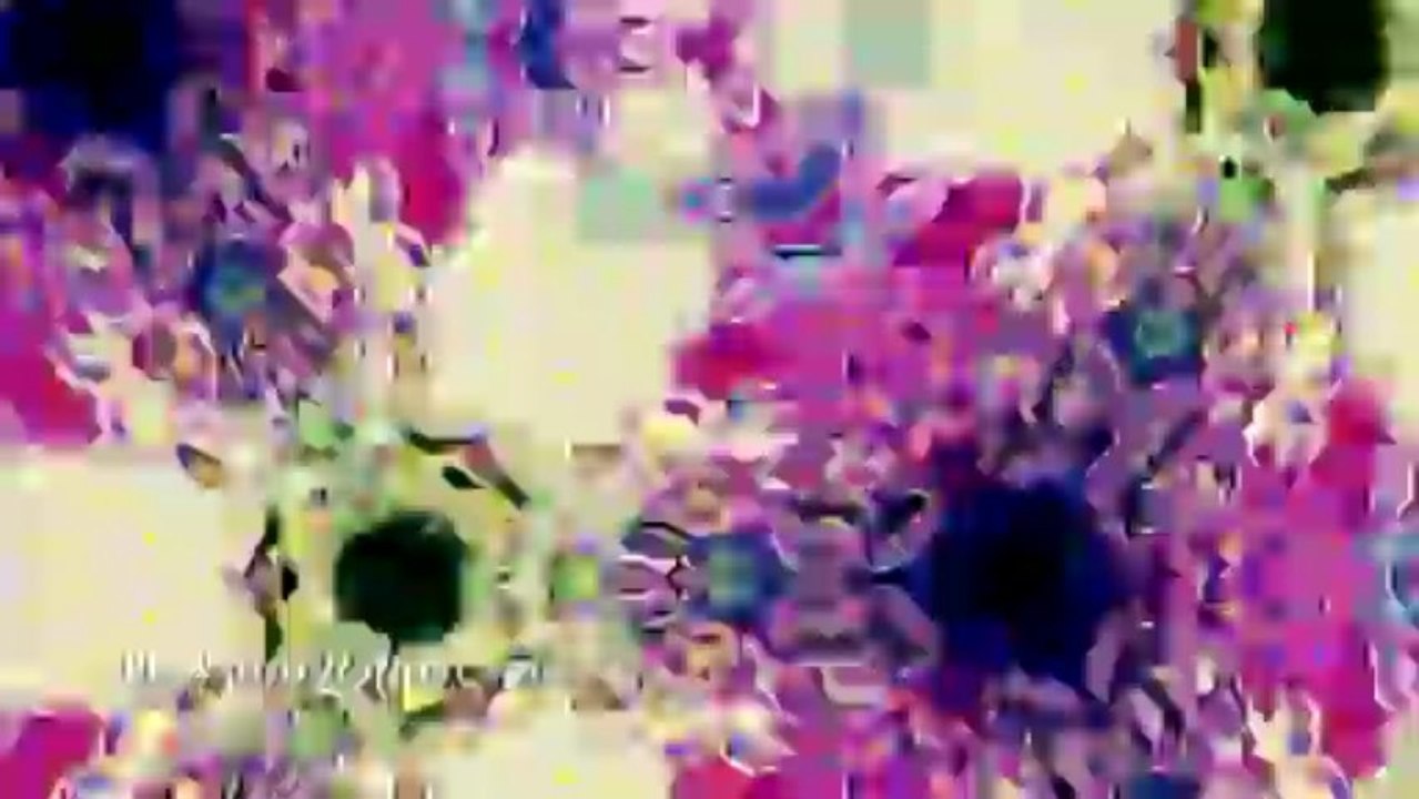 Video Backgrounds - Animated Backgrounds - Video Loops - Trippy 01