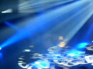 "Petit oiseau" de Bruxelles