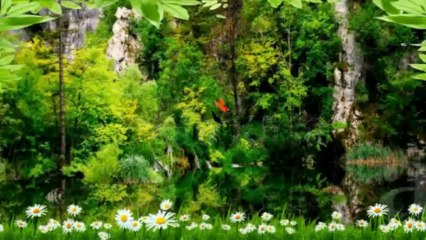 Cần mướn karaoke 0917 018 066 MR KHOA  4