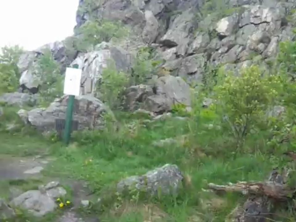 How i became an ingress l8 agent at bruchhausen