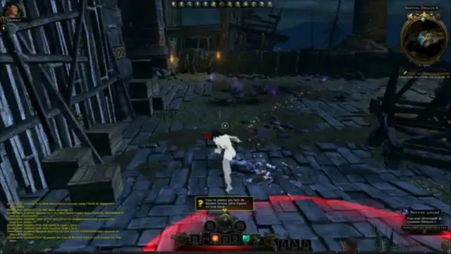 Donjons et Dragons Neverwinter