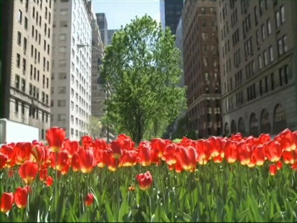 FR MG PKG ALLIANCE FRANCAIS GOOD ONE