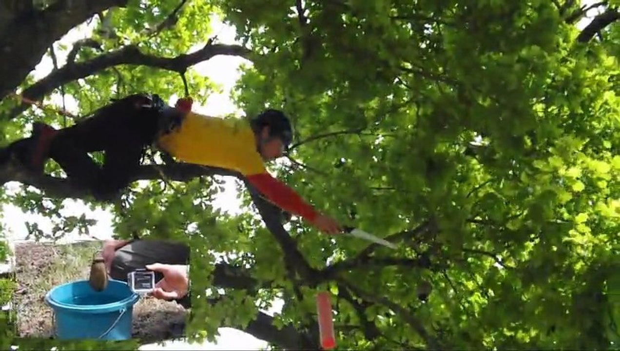 Rencontre Régionale d'Arboriculture Sud Ouest 2013