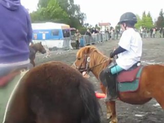 Fête du Cheval à Bonson