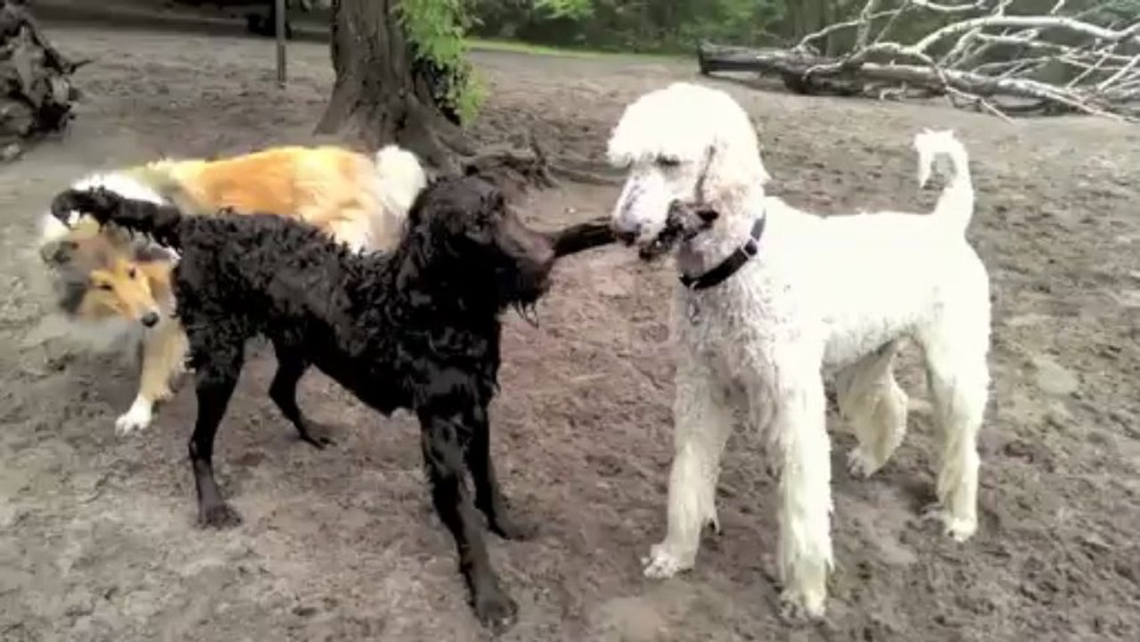 Caya & Albert: Keine Geschenke