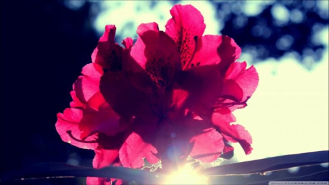 4YOU