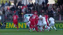 But Sébastien PUYGRENIER (10ème) - Stade Brestois 29 - AS Nancy-Lorraine (1-2) - saison 2012/2013