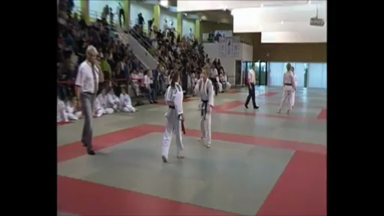 Tournoi de Gonfreville 2013 Emily