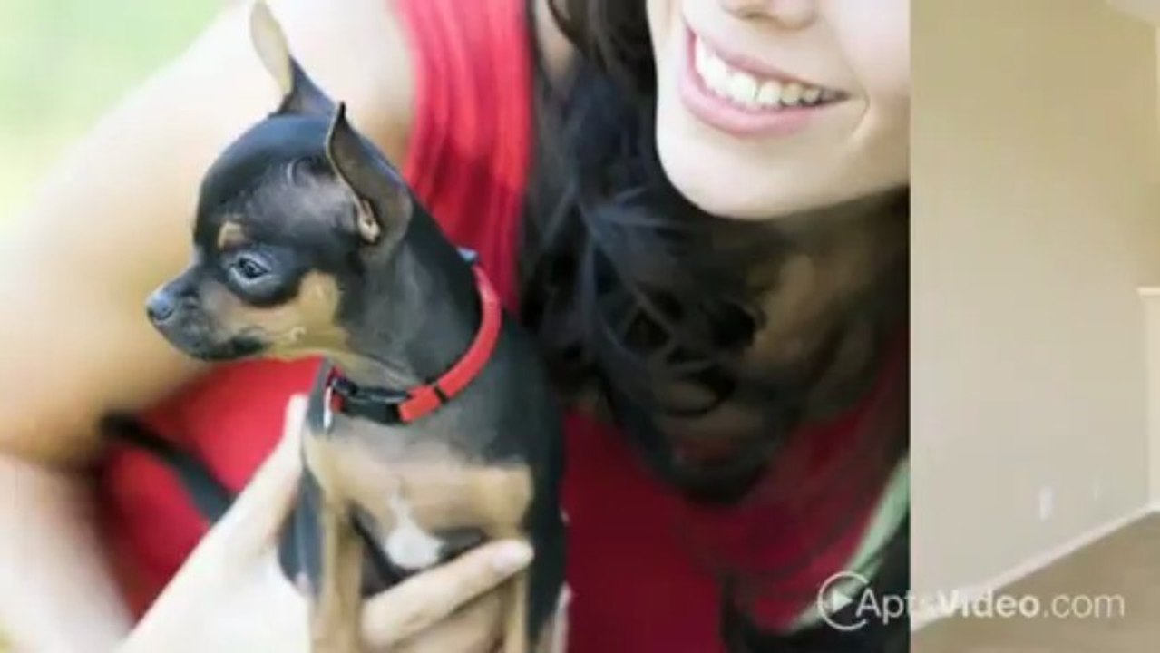 Pacific View Apartments in Long Beach, CA - ForRent.com