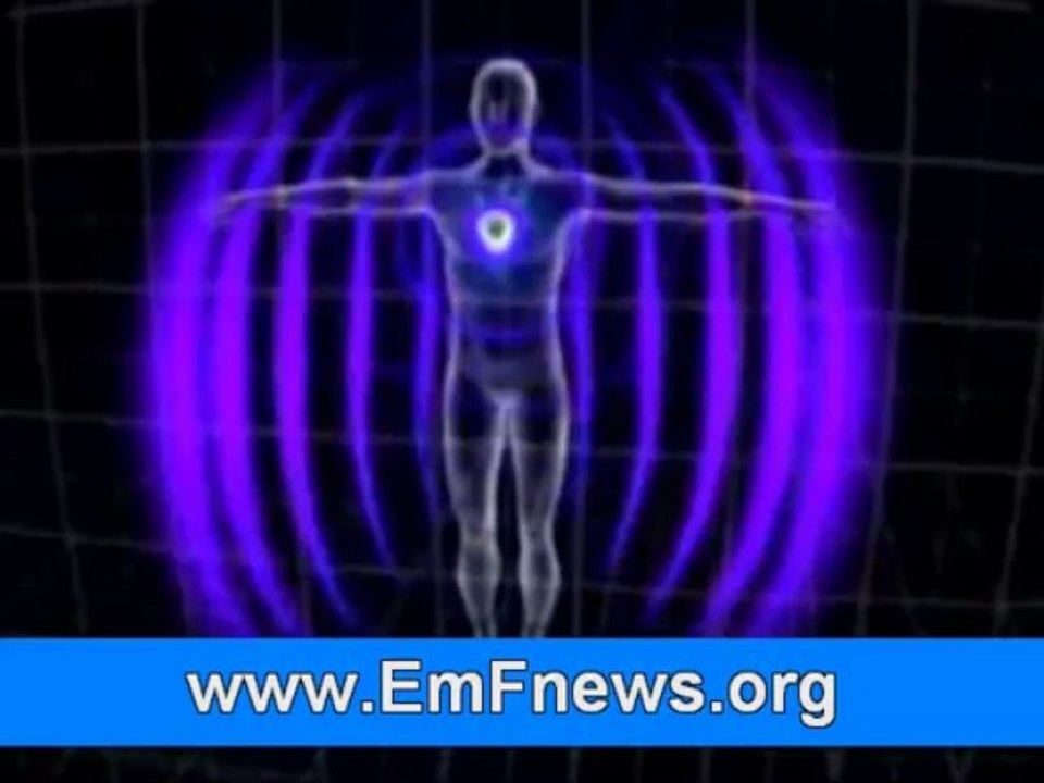 Microwave Radiation Protection, Electromagnetic Energy