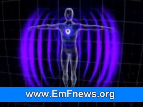 Microwave Radiation Protection, Electromagnetic Energy