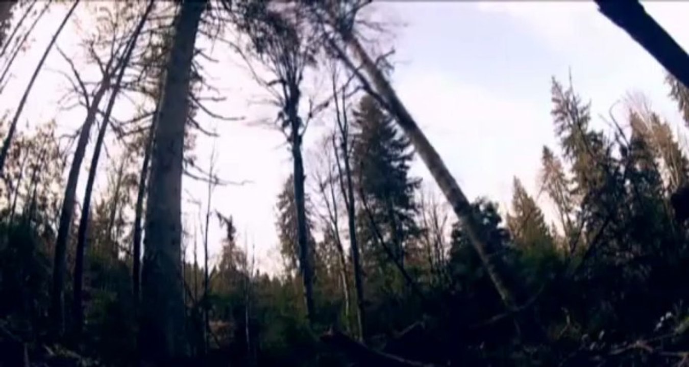 JAFUL DEFRISARILOR, din nou la "Romania, te iubesc" (2013) - ancheta de Alex Dima